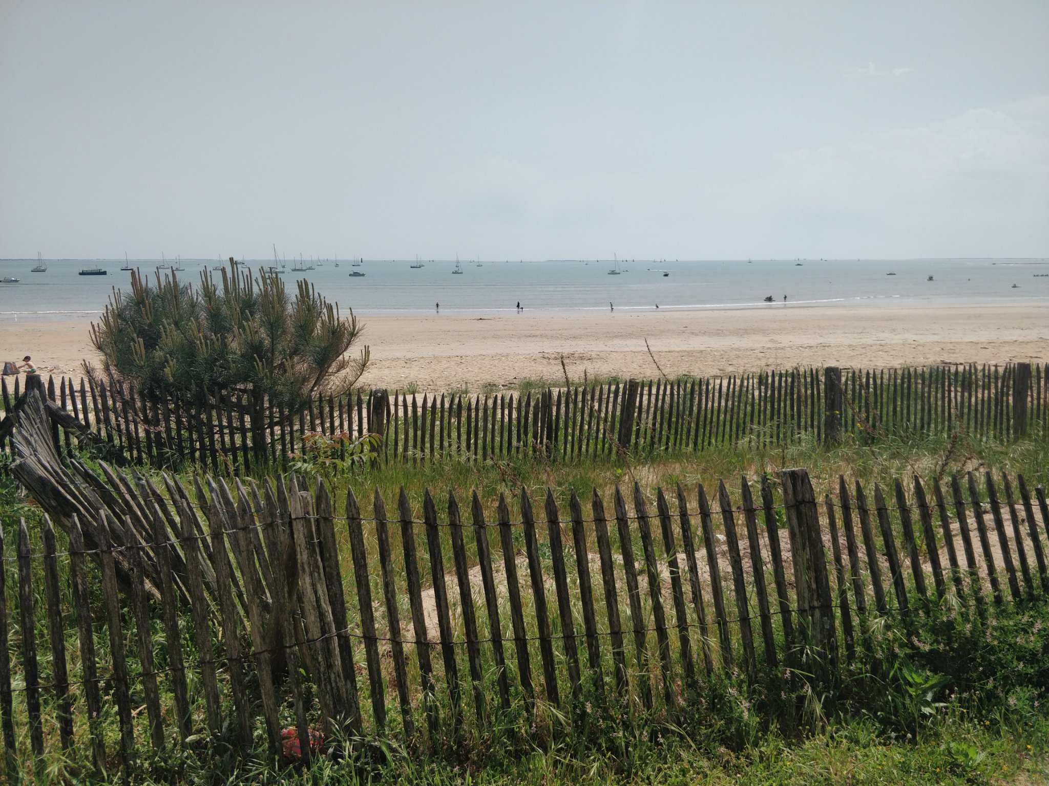 La photo est composée de haut en bas :
D’un ciel bleu très peu nuageux.
De l’océan avec de nombreux bateaux.
D’une plage avec quelques personnes.
Et au premier plan, d’une bande de verdure sur du sable, avec un petit arbre, encadrée par des barrières en bois.
