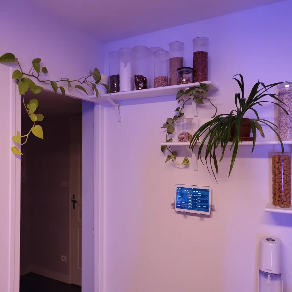 Angle de deux murs, avec sur l’un une porte entourée d’une plante en liane.
Sur l’autre des étagères de bocaux d’aliment en vrac, des plantes et sur le même mur une tablette avec une interface home‑assistant.