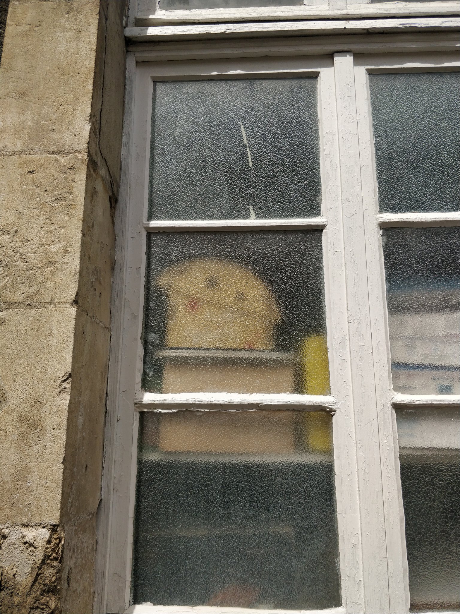 Photo de carton empilé derrière une fenêtre au verre occultant. Dans la vision floue, on croit voire une sorte de Pikachu, comme si c’était un Mimqui.