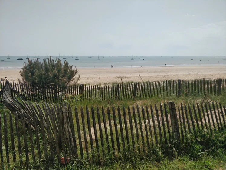 La photo est composée de haut en bas :
D’un ciel bleu très peu nuageux.
De l’océan avec de nombreux bateaux.
D’une plage avec quelques personnes.
Et au premier plan, d’une bande de verdure sur du sable, avec un petit arbre, encadrée par des barrières en bois.