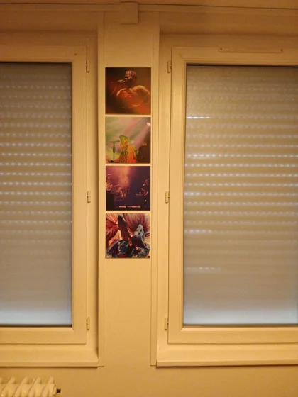 4 de mes photos, 3 de concert et une macro de fleur imprimées et collées sur mon mur, on y voit de haut en bas :
Uzi Freyja, Théa, MADAM, et une orchidée