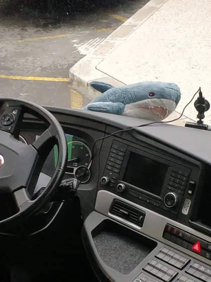 Une peluche Blåhaj pausée sur le paneau de control d’un car.