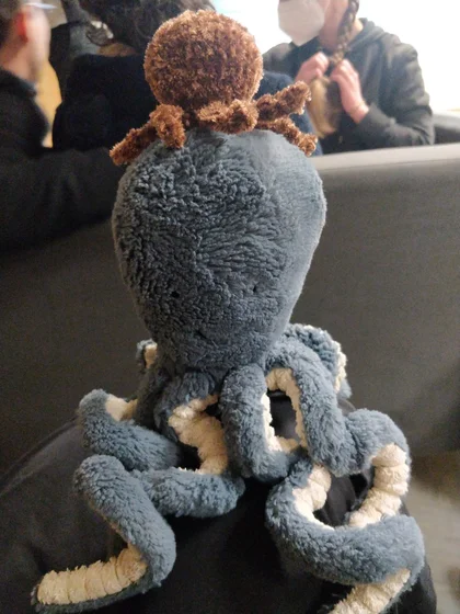 Une petite peluche de poulpe brun sur la tême d’une plusse grande peluche de poulpe bleu